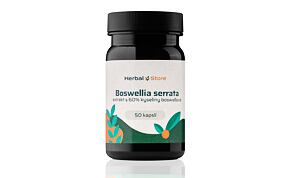 Boswellia serrata kapsle - extrakt s 65% kyseliny boswellové