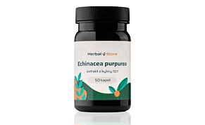 Echinacea purpurea kapsle - extrakt 10:1